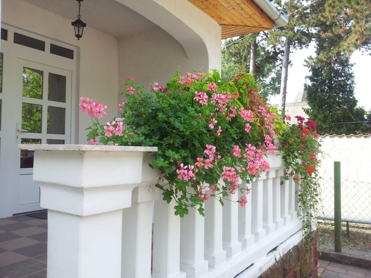 Anna Villa Balatonlelle Luaran gambar